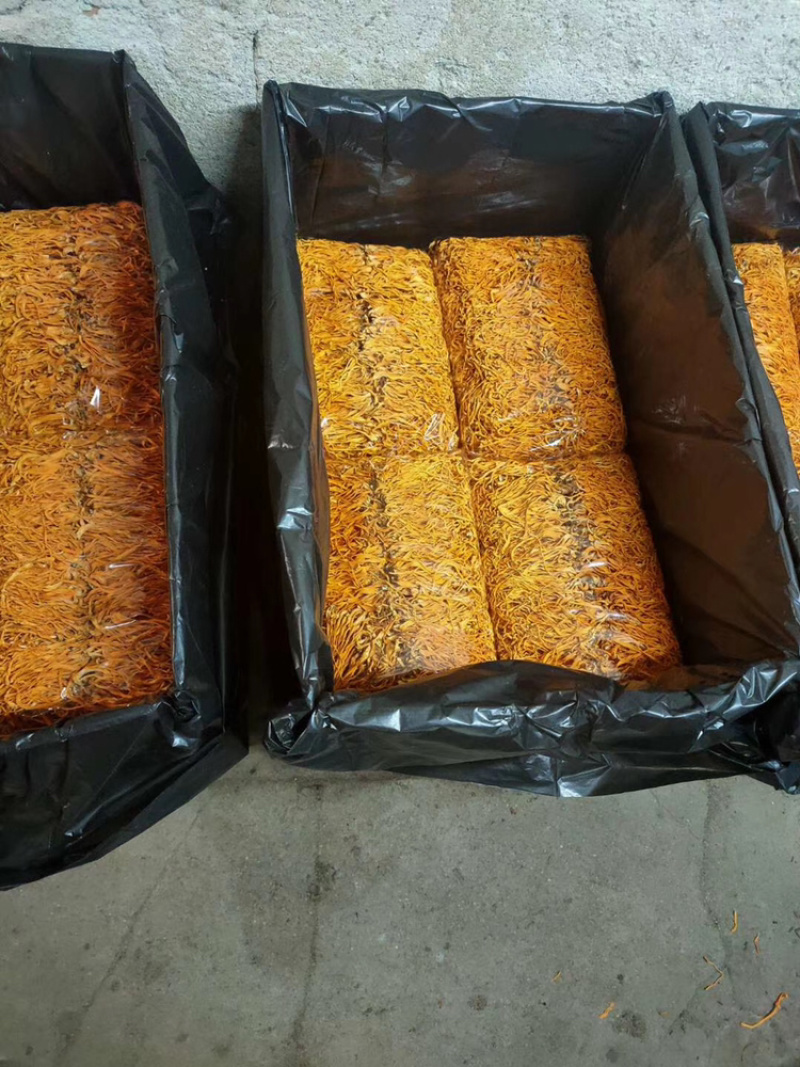 虫草花干货无硫新货500克包邮精排草孢子头产地批发