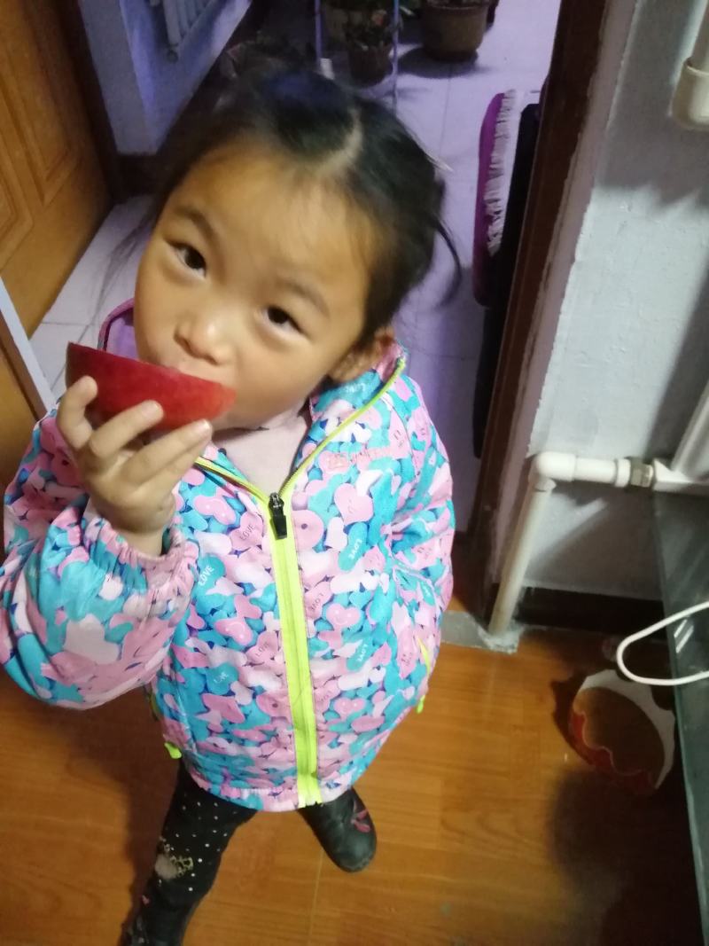 【推荐】红肉苹果苗红色之爱苹果苗红肉苹果苗根系发达