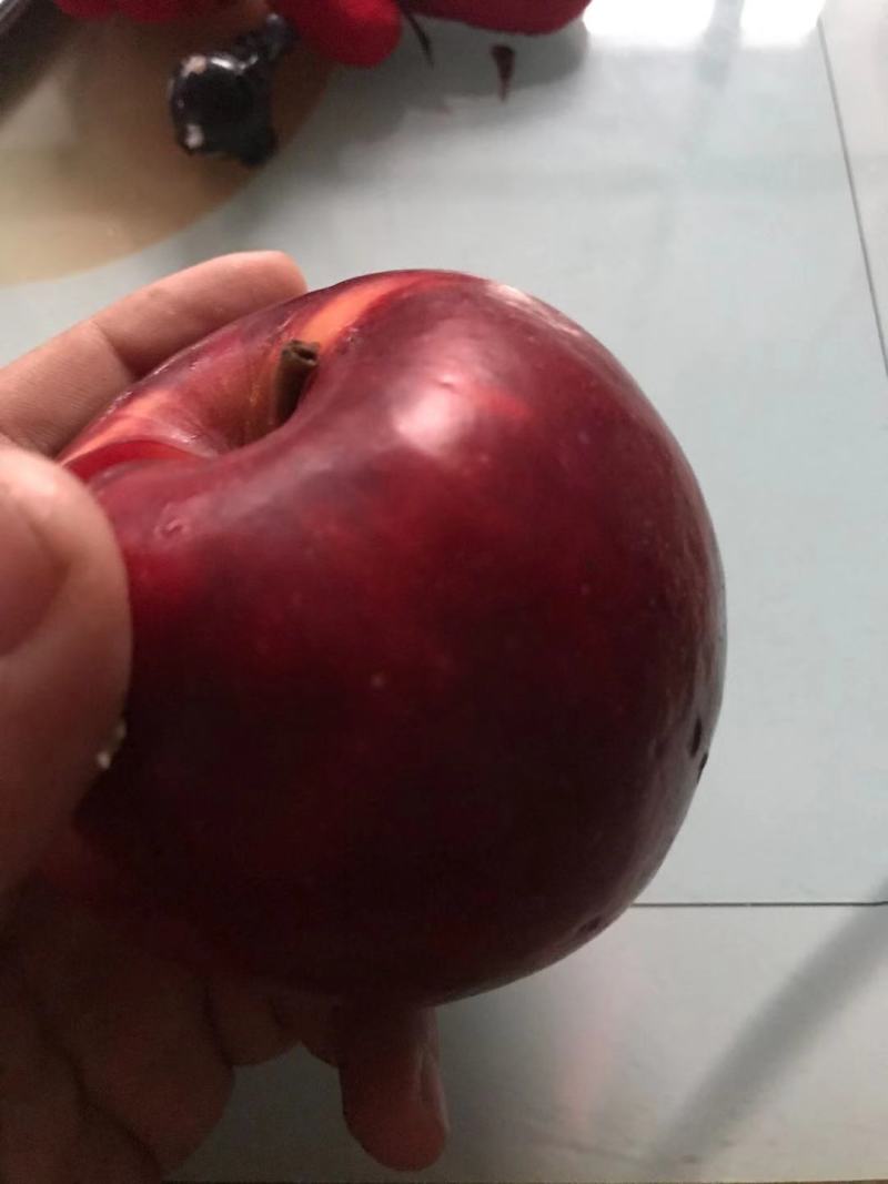 【推荐】红肉苹果苗红色之爱苹果苗红肉苹果苗根系发达