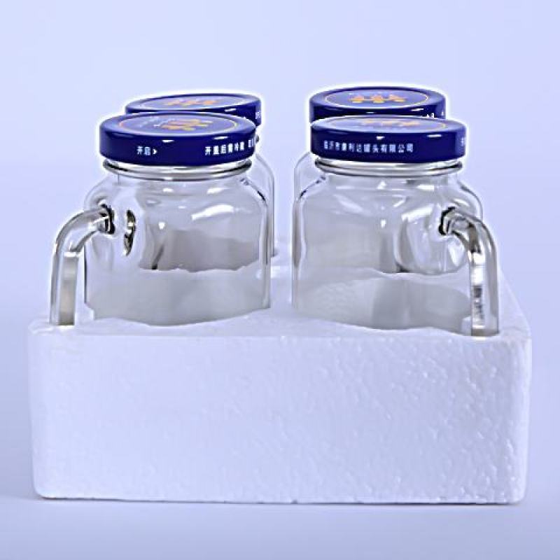 网红玻璃瓶水杯一罐多用560ml