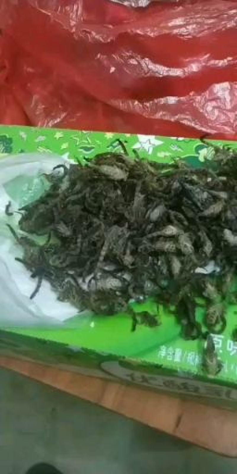 全蝎干货，欢迎咨询，长期合作
