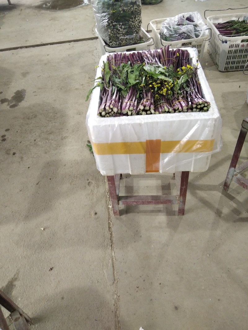 精品红菜苔，湖北特产蔬菜，佳红红菜苔，靓红红菜苔