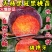【新品】无核黑冠蜜桃苗农科院引种98%纯度卖疯了