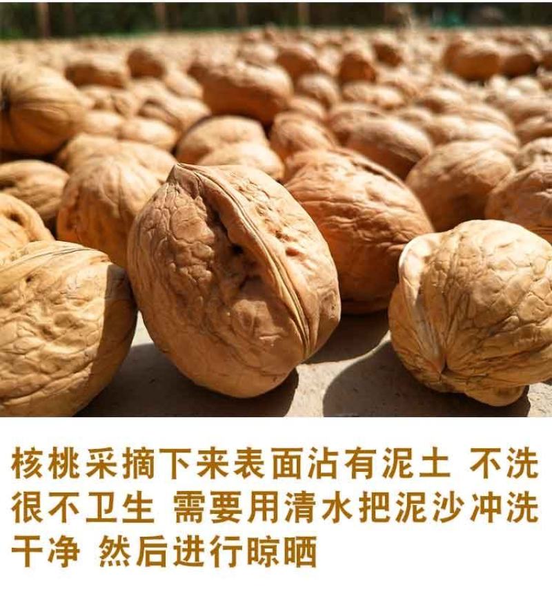 新疆核桃纸皮核桃产地一手货源全国发货一件代发