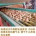 新疆核桃纸皮核桃产地一手货源全国发货一件代发