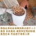 新疆核桃纸皮核桃产地一手货源全国发货一件代发