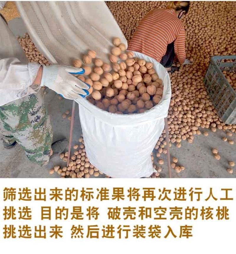新疆核桃纸皮核桃产地一手货源全国发货一件代发