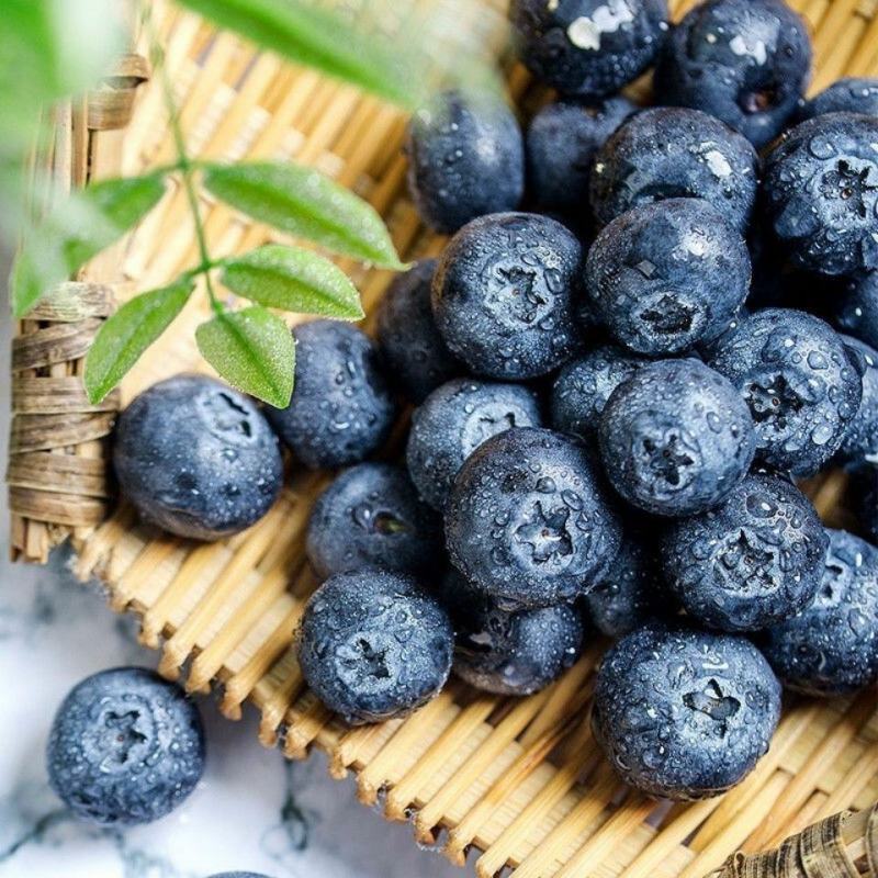 【一件代发】新鲜蓝莓，电商供应链，露天蓝莓，电商