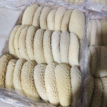 冷冻半成品金钱肚牛副产六七分熟一件起批