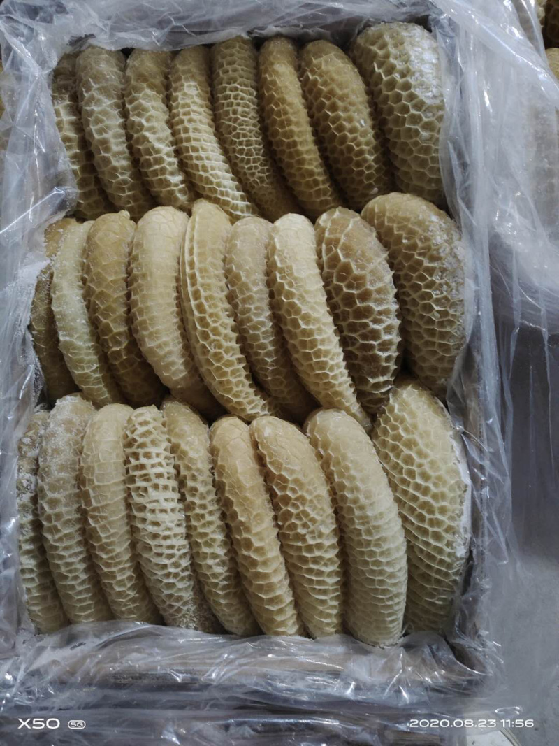 冷冻半成品金钱肚牛副产六七分熟一件起批