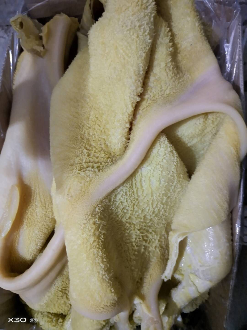 冷冻半成品牛肚冷冻牛副产、、、、、、、、