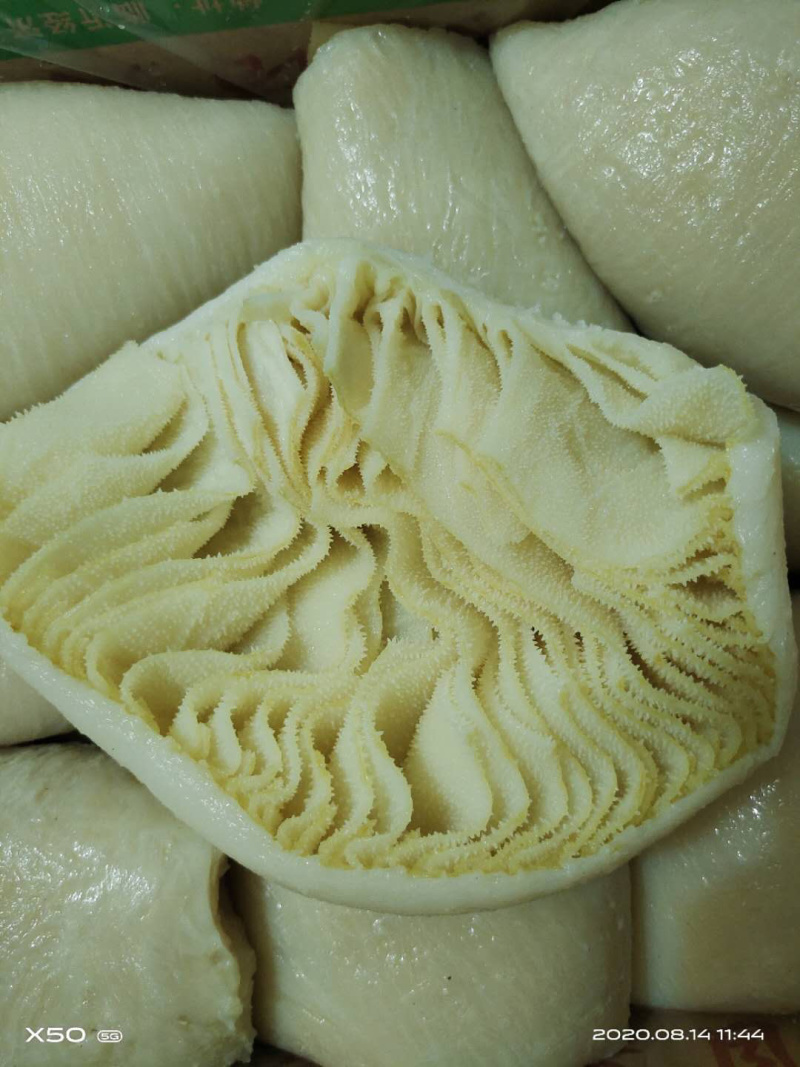 现货半成品牛百叶冷冻牛副产六七分熟三证齐全