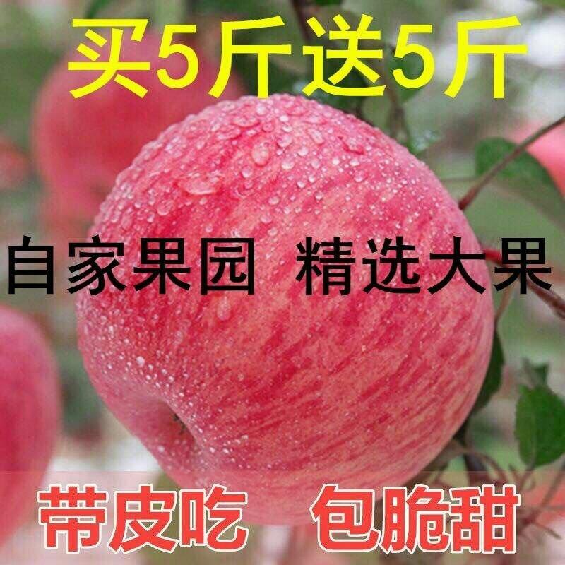 【山西苹果】新鲜包邮整箱红富士应季苹果欢迎咨询