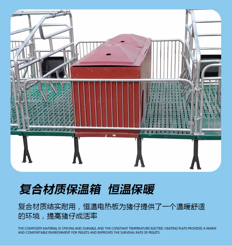 双体母猪产床保育床一体产保两用床产房养猪用产床产保单体分