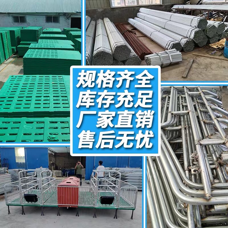 双体母猪产床保育床一体产保两用床产房养猪用产床产保单体分
