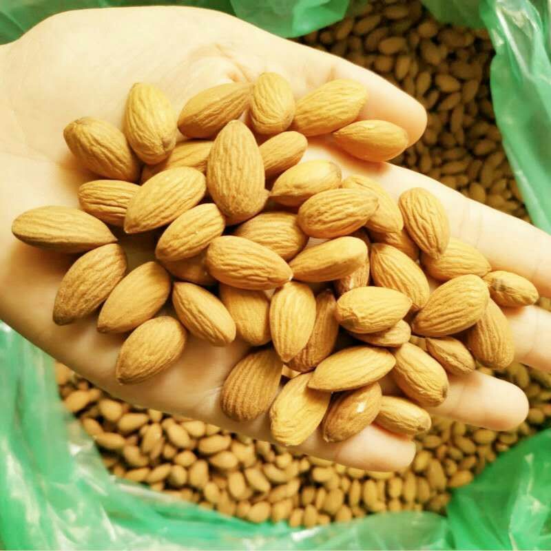 批发【巴旦木仁】果实饱满杏仁果香脆可口盐焗味巴旦木仁
