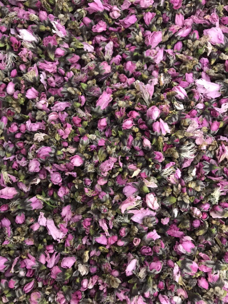 桃花优质桃花批发零售