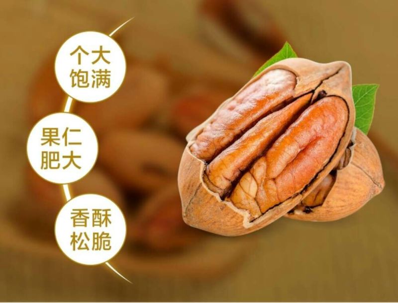 批发【碧根果】大货实际大果正宗进口碧根果整箱批发