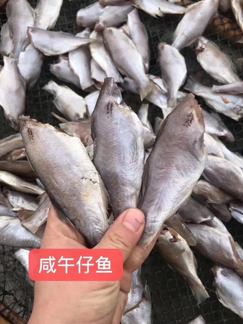 新鲜现制咸午仔，刚刚上岸不久，下饭超级棒