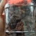潮汕自制腌制品蜜饯黄皮黄皮豉蜜饯黄皮可散装瓶装承接电商