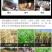 3.8吨干湿两用,铡草揉丝一体机铡草揉丝机