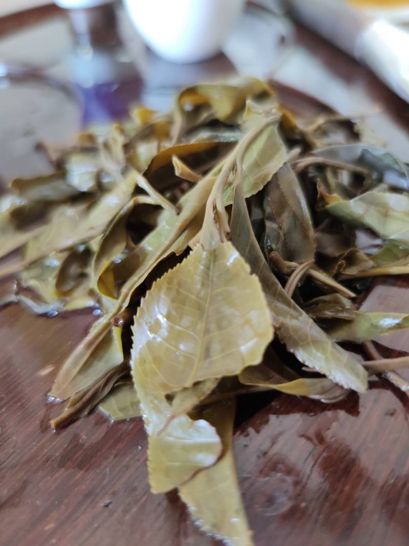 2019年易武麻黑头春古树茶，欢迎选购！