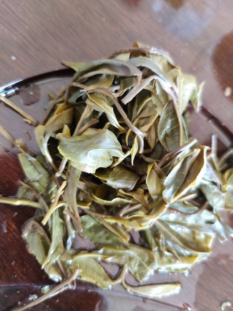 2019年易武麻黑头春古树茶，欢迎选购！