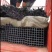 养猪大棚，养鸡大棚，蔬菜大棚，大棚骨架。鸡鸭鹅。