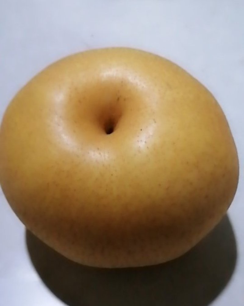 晚秋黄梨，个大汁多脆甜。