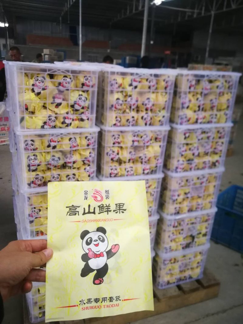 不知火丑桔果大皮薄口感甜！果型真丑！产地果园看货以质论