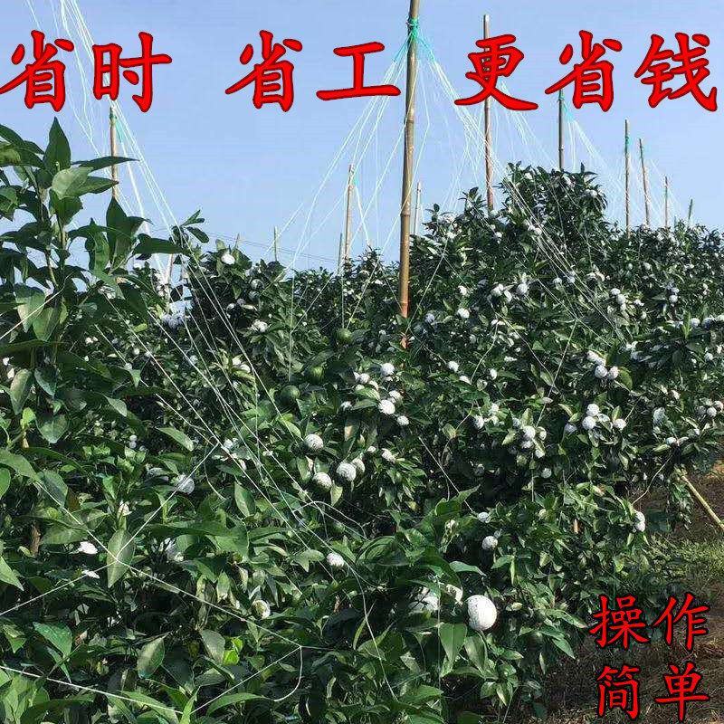 沃柑撑果网柑橘砂糖桔撑果网沃柑吊果网柑橘挂果网果树吊果网