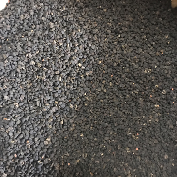 补骨脂故芷支持线上交易量大从优