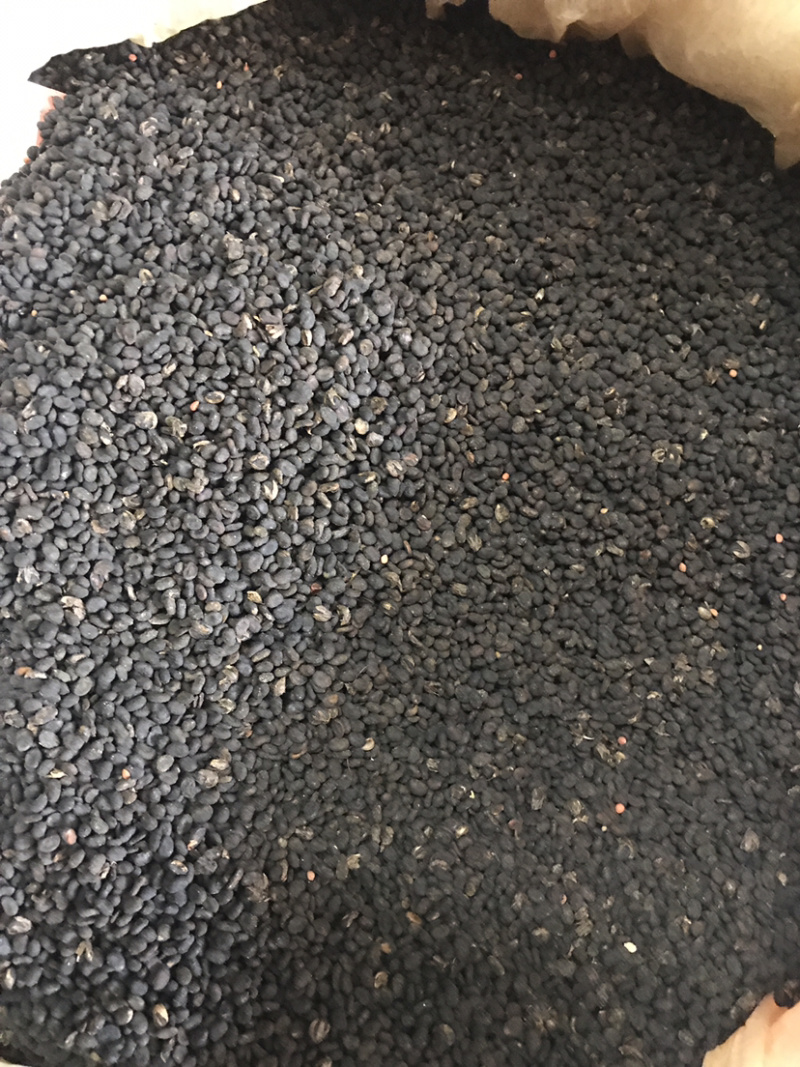 补骨脂故芷支持线上交易量大从优