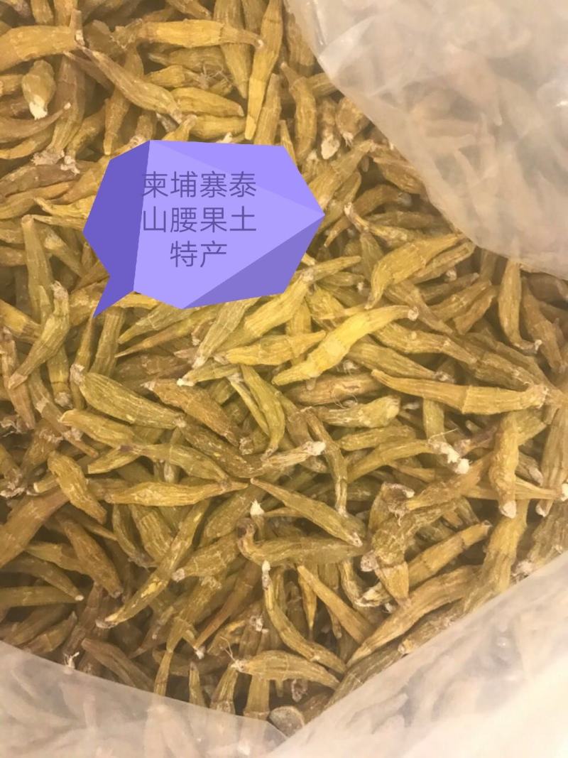柬埔寨野生虎牙石斛，规格齐全，（野生假一赔百）