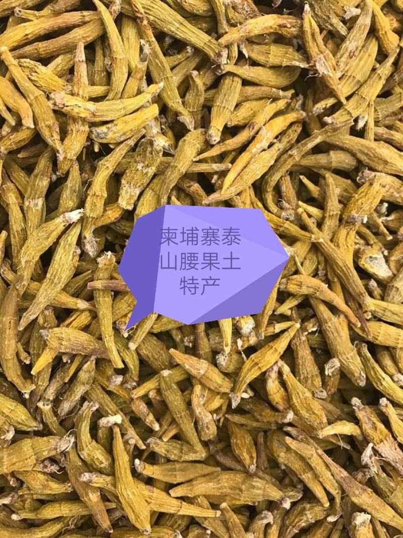 柬埔寨野生虎牙石斛，规格齐全，（野生假一赔百）