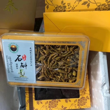 柬埔寨野生虎牙石斛，规格齐全，（野生假一赔百）