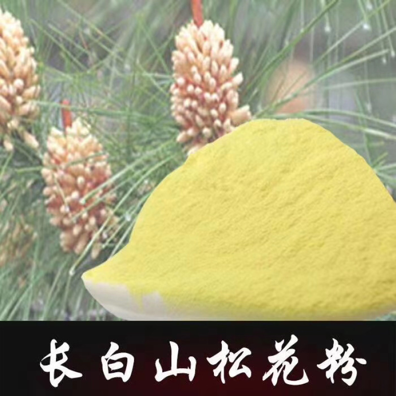 长白山野生松花粉大自然的真品支持一件代发