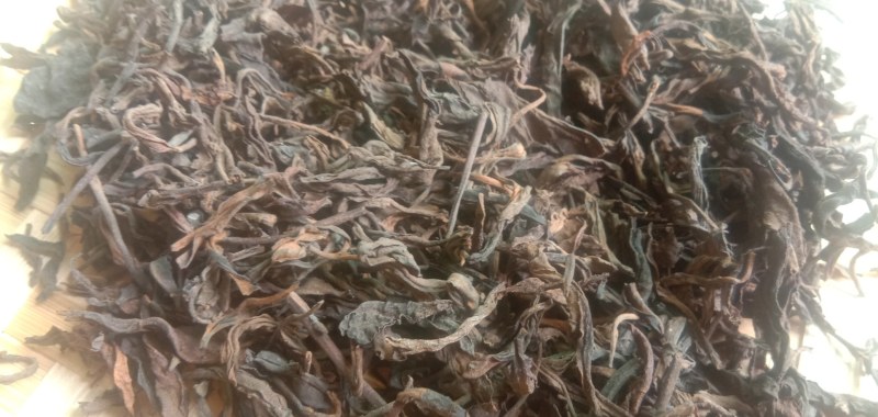 云南省澜沧县景迈山古树老生普洱茶