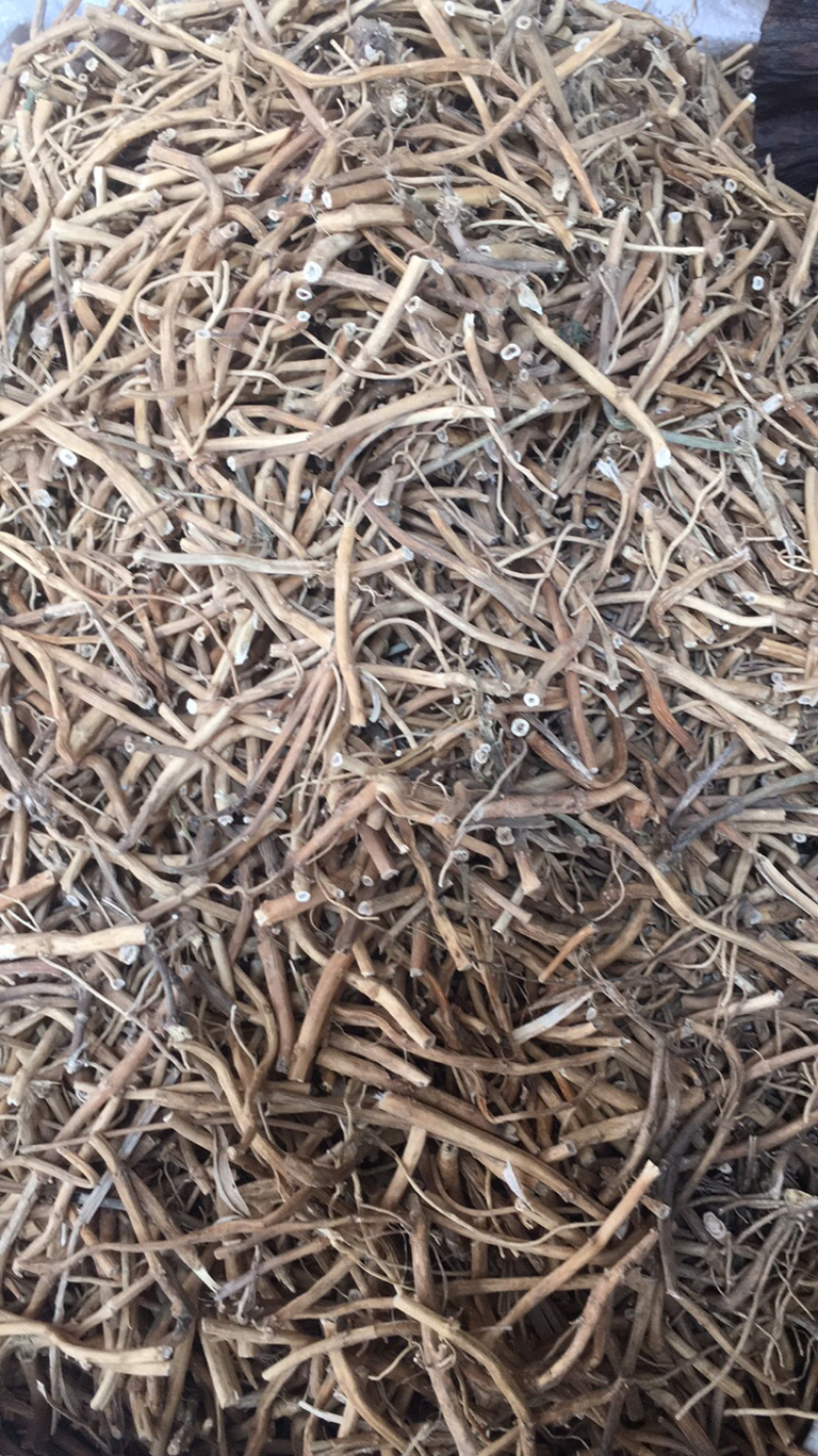 白前白前药材规格多下单咨询量大包邮