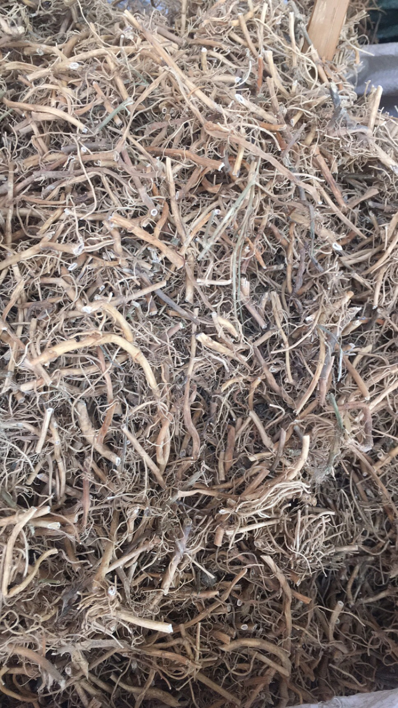 白前白前药材规格多下单咨询量大包邮