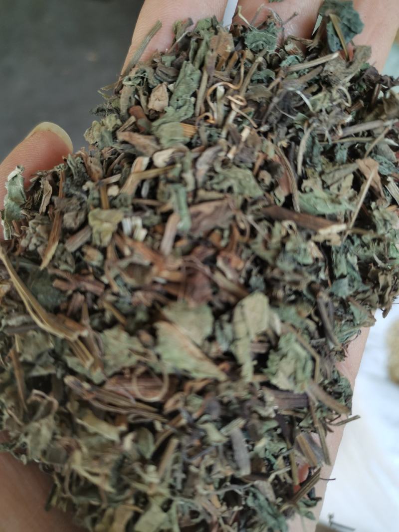 中草药绞股蓝药用干货干净无杂一公斤起包邮