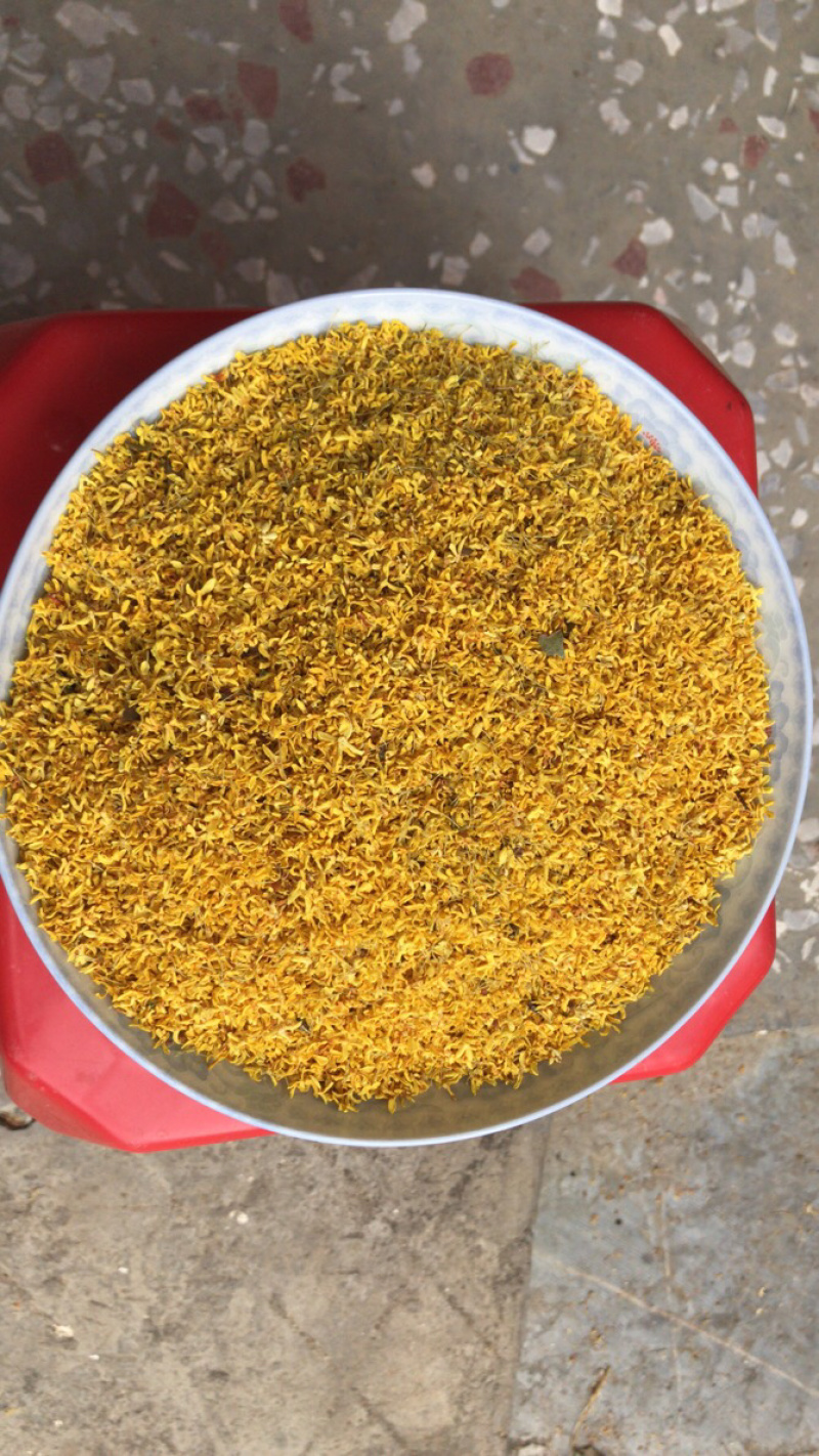 2022年鲜桂花干桂花茶