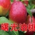 曙光桃苗基地直销批发价格保质保量死苗补发