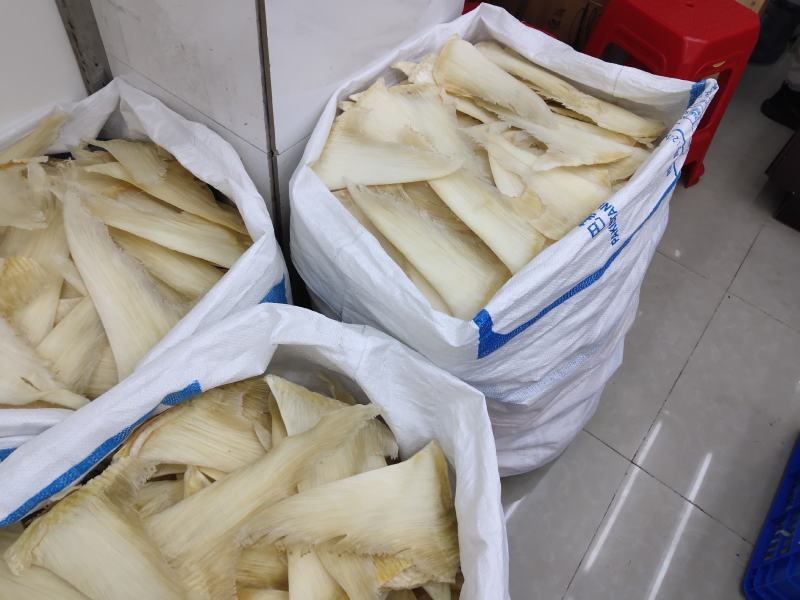 鱼翅批发行！全国发货