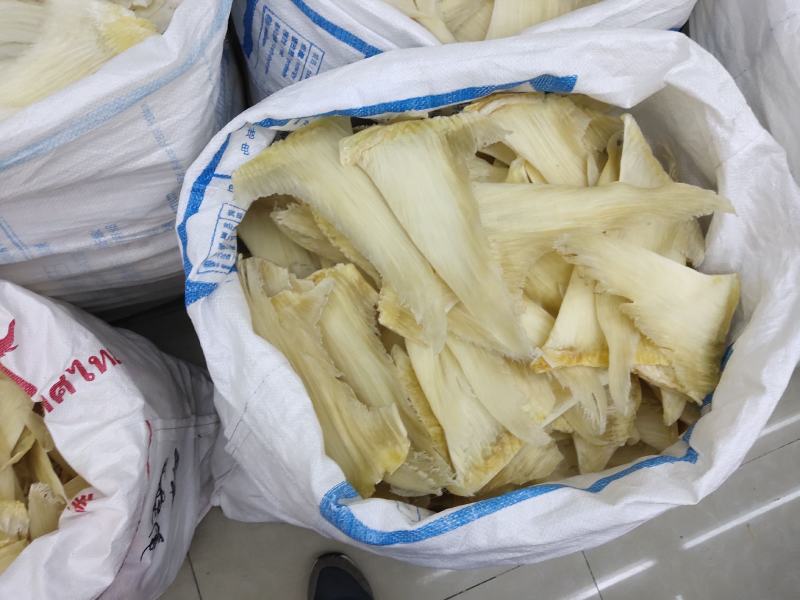 鱼翅批发行！全国发货
