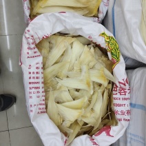 鱼翅批发行！全国发货