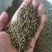 吴茱萸江西吴茱萸干货包邮