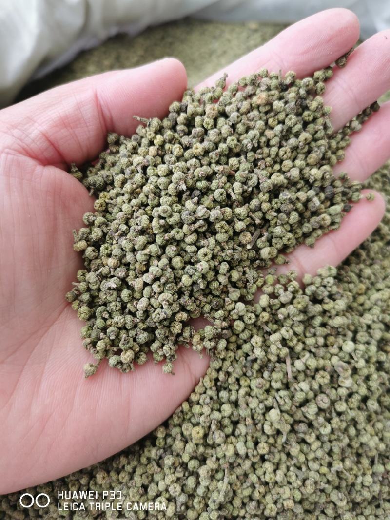 吴茱萸江西吴茱萸干货包邮