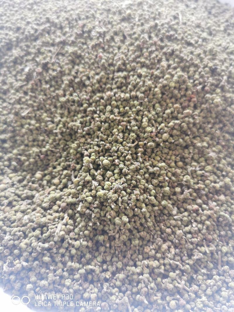 吴茱萸江西吴茱萸干货包邮