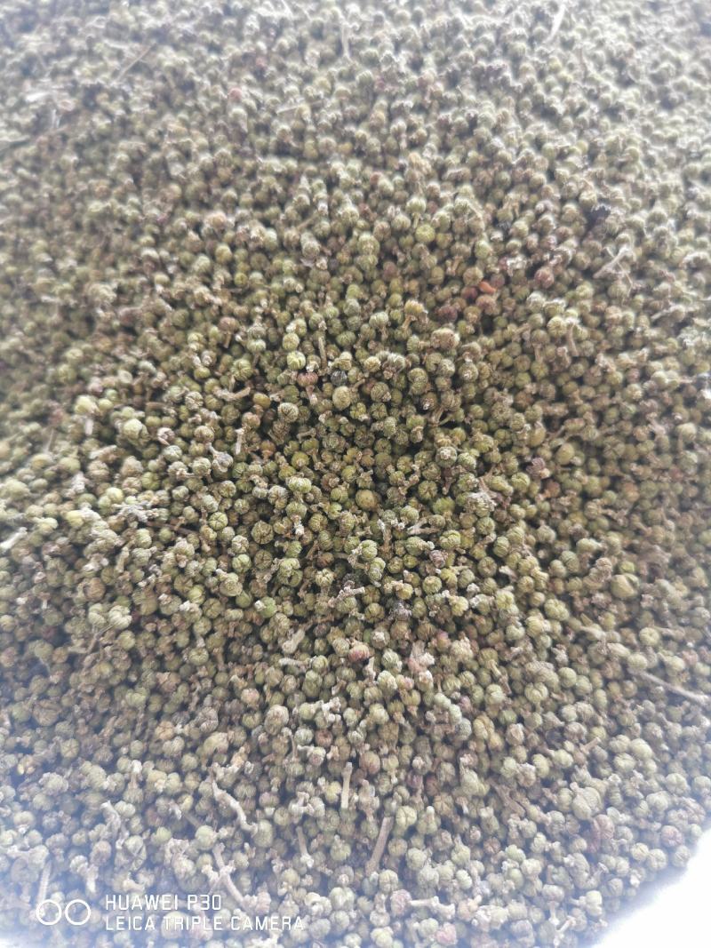 吴茱萸江西吴茱萸干货包邮